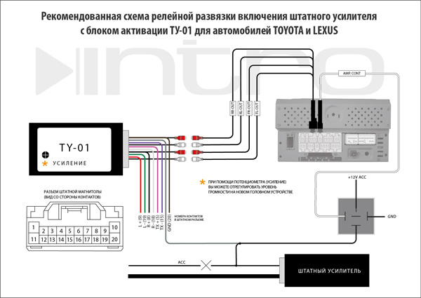 Intro AMP-TY01_1.jpg